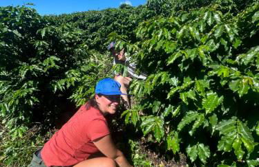 Casa Baldoni - Fazenda de Café - Foto 8