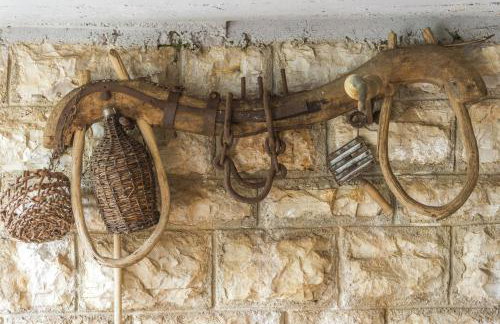 Village Miljavci - Photo 53