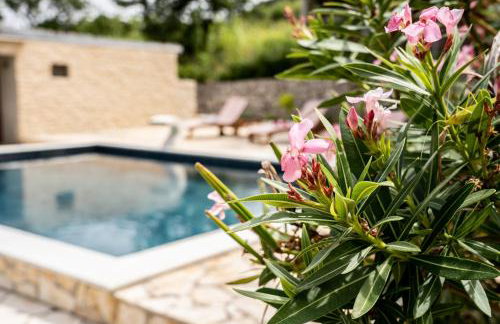 Villa Pag Dubrava Relax with Pool - Photo 69