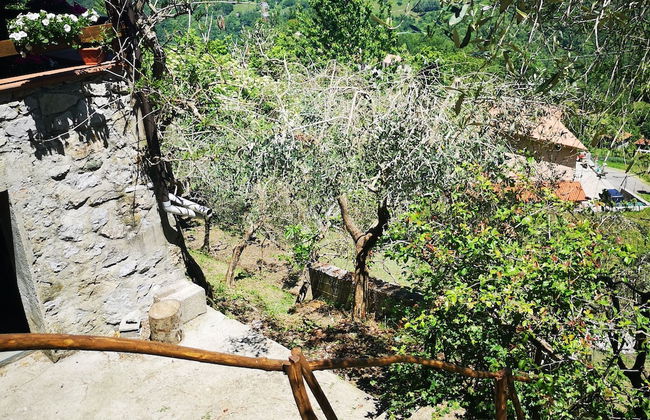 Holiday Apartment Ulivella Tuscany Garfagnana - Foto 25