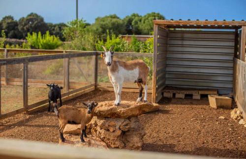 Menorca Agroturismo Llimpet - Foto 31