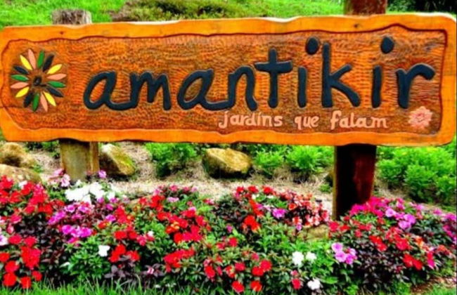 Tour panoramico di Campos do Jordão + Parco Amantikir - Foto 7