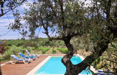 Monte das Aranhas - Foto 43