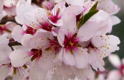 Sumptuous villa in Taberno with private pool - Foto 78