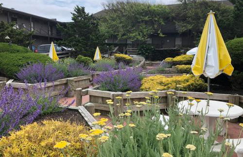 Apartment in Royal Atlantic Beach Resort - Foto 52