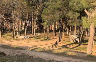 Nido Estebana - Foto 37