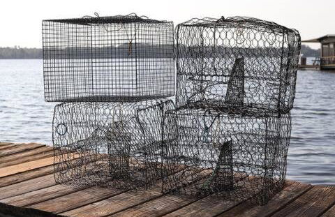 St Johns River Retreat Unit 2 - Foto 26