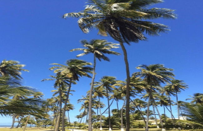 Linda casa na Praia de Guarajuba - Photo 35