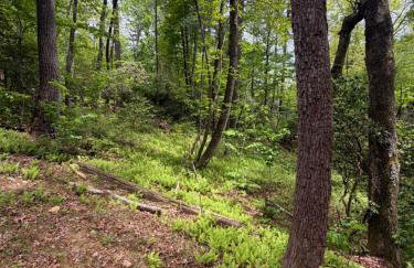 The Onyx - Walk to Falls, Hot Tub, Resort Access, Luxe Approved - Foto 78