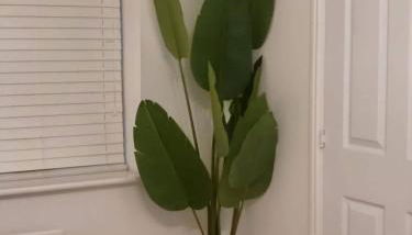 Home Like Yours In Grays, Essex - Foto 5