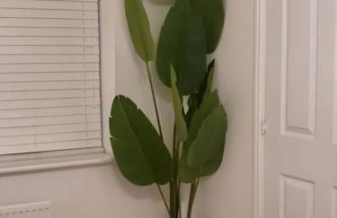 Home Like Yours In Grays, Essex - Foto 5