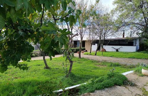 Las Casitas de Higuera - Foto 8