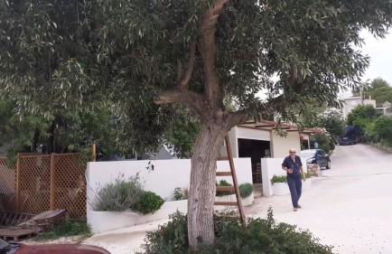 tzogias apartments nonna studio - Photo 4