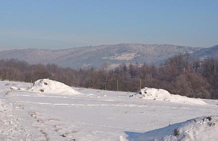 Apartamenty Black Lion - Foto 50