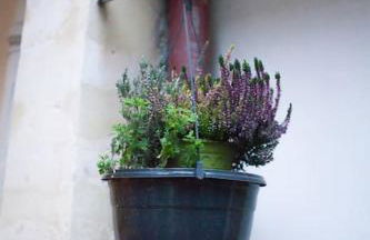 Charming studio in a courtyard in Paris - Foto 7