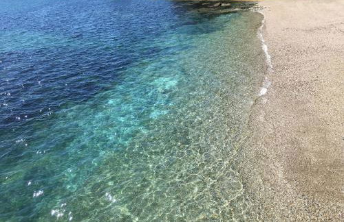 Starfish Cottage- private beach access- dog friendly - Foto 22