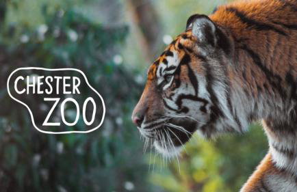 The Highfield Chester. - Foto 42