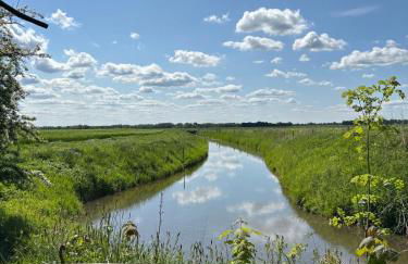 Reetdachtraum in Wischhafen - Photo 8