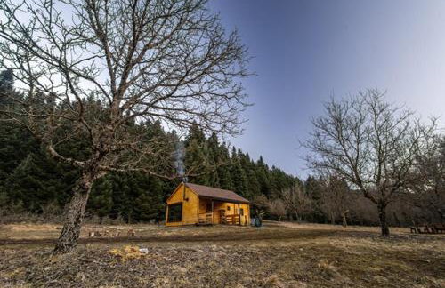 Wood Cabins by the River - for Nature Lovers - Photo 48