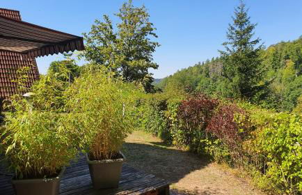 Ferienhaus am Wald - Photo 4