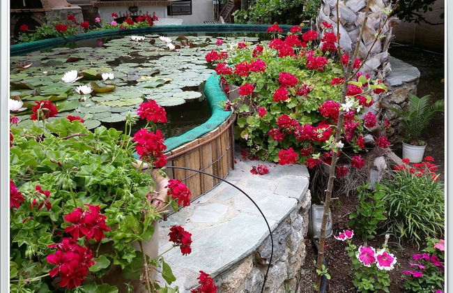 Stunning 2-bedrooms Private Cottage in Palaiochora - Foto 10