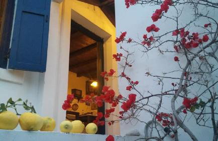 Window To The Aegean - Foto 23