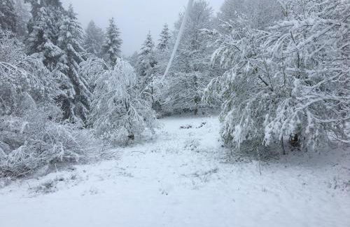 LE CHALET VOSGIEN bain nordique Kota Grill - Foto 48