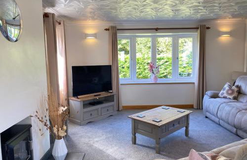 Buena Vista - Foto 11