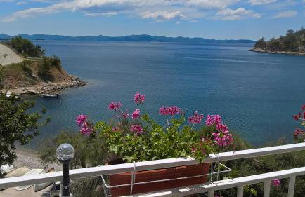 Apartmani Kunjasic - Foto 1