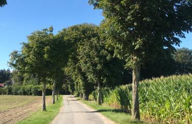 Refugium in Ostseenähe - Foto 23