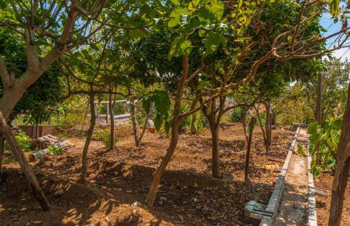 Vacations in the Countryside - Casinha dos Canhas - Foto 84