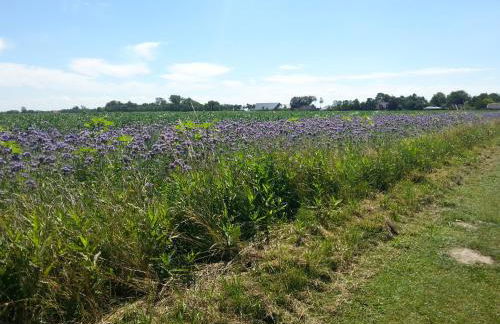 Meine Zeit - Foto 39