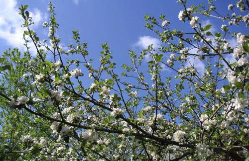 Natur-Aktiv-Hof Thiem - Foto 12