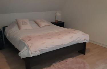 maison village 3 chambres 30 minutes du zoo de beauval - Foto 7