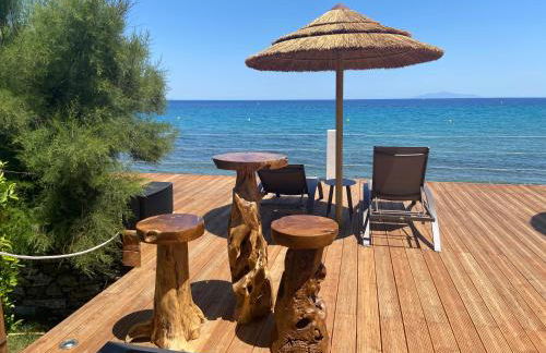 Domaine U Pozzu - Foto 6