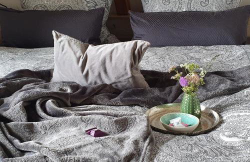 Alb - Lotte - Foto 15