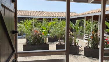 WAVEShouseTARIFA - Photo 4