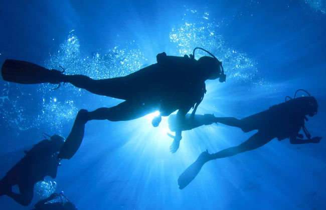 Buceo en el Parque Marino de Phi Phi - Foto 1