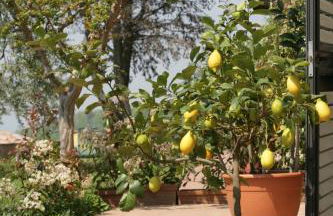 Agriturismo Borgo La Casetta - Foto 43