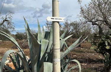 Villa Kalorama-private pool & Hot Tub - Foto 49