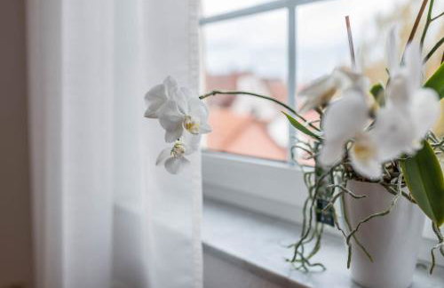 Aposto Apartments 3 - Foto 16