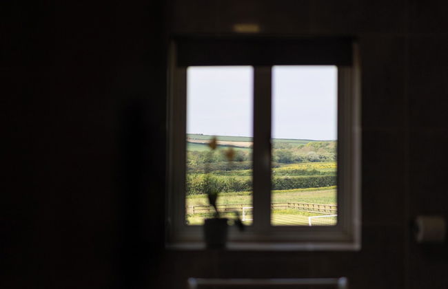 Lovely 2-bed Cottage in St Brides, Pembrokeshire - Foto 37