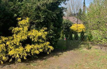 Gepflegtes-Ferienhaus-am-Dankernsee-Haren-Emsland - Photo 27