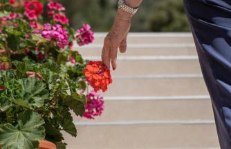 Mariamare apts - Foto 12