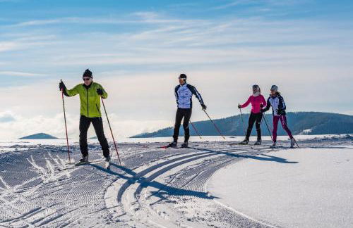 Apartment "Blackforest", Todtnau, 5 Schlafzimmer - Foto 25