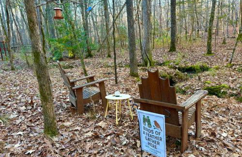 Dome Hideaway on 5 Acres-close to Carbarro & CH - Foto 32