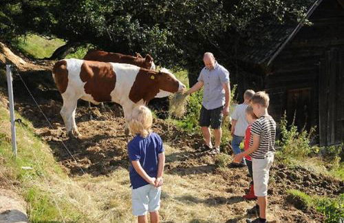Exenbacher Hof - Foto 41