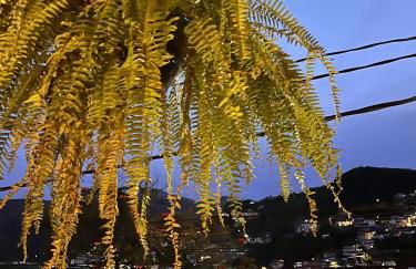 Pouso Canaa - Foto 26