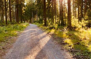 Gästehaus Steiert Fewo Kuhbergblick - Photo 32