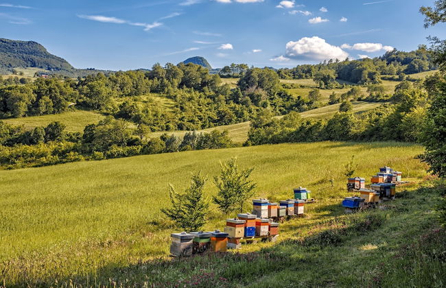 Agriturismo Eutopia - Foto 36